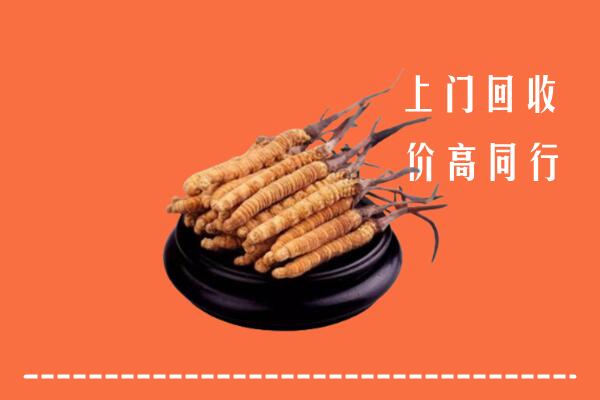 高价求购：万宁回收散虫草