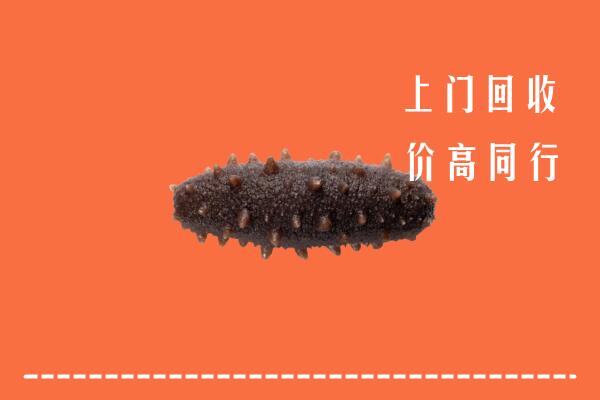 高价求购：万宁回收海参