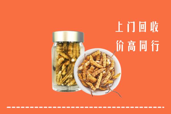 万宁回收冬虫夏草